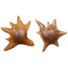Uttermost - 17144 - Bowls Set/2 - Starpetal - Natural