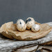 Uttermost - 18330 - Stone Eggs Set/3 - Nest Trio - Beige