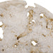 Uttermost - 18357 - Bowl - Quarried Stone - Natural