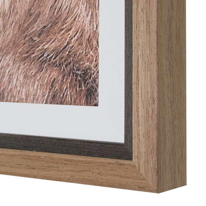 Uttermost - 32546 - Framed Print - Big Horn