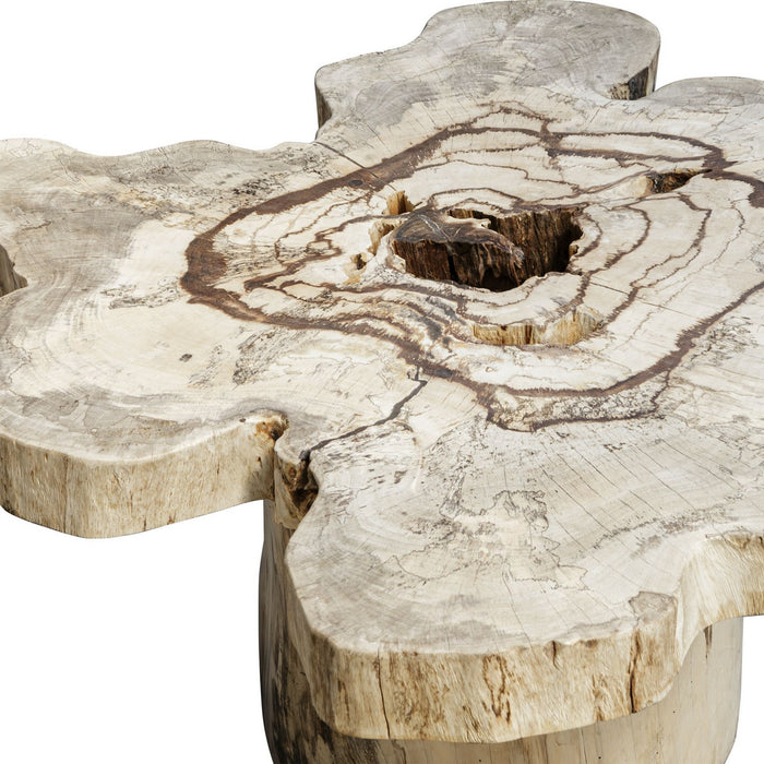 Uttermost - 50365 - Coffee Table - Anzalone - Natural