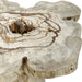 Uttermost - 50365 - Coffee Table - Anzalone - Natural