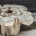 Uttermost - 50365 - Coffee Table - Anzalone - Natural