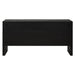 Uttermost - 50380 - Cabinet - Williams - Black