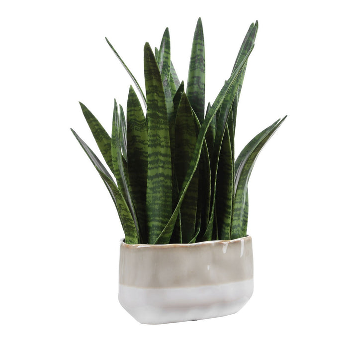 Uttermost - 60271 - Accent Plant - Sansera Snake - Beige And Tan
