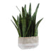 Uttermost - 60271 - Accent Plant - Sansera Snake - Beige And Tan