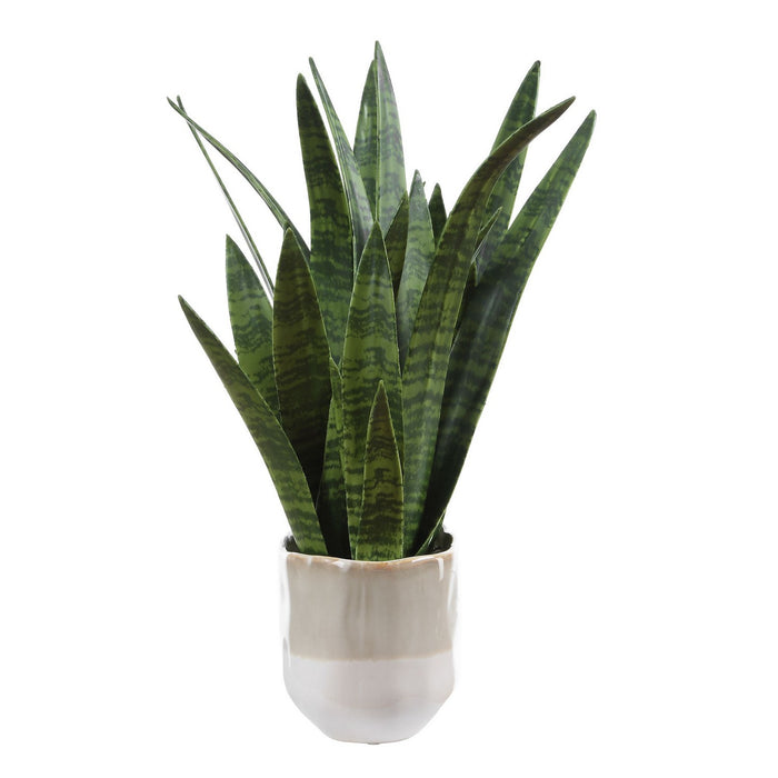 Uttermost - 60271 - Accent Plant - Sansera Snake - Beige And Tan