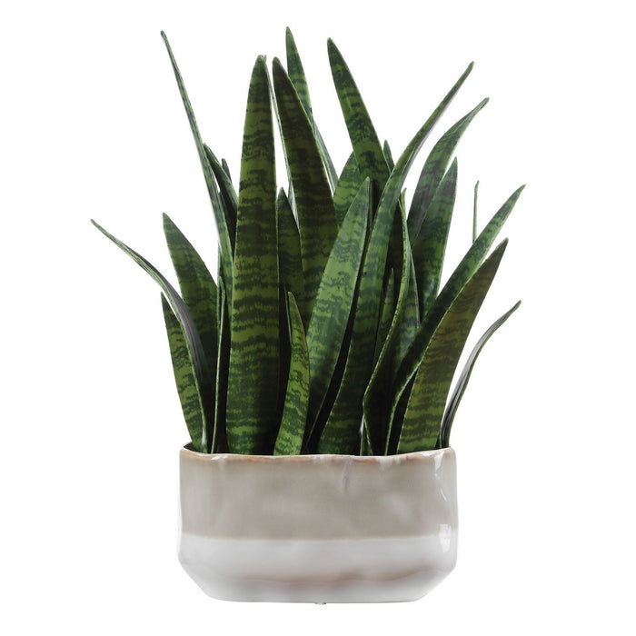 Uttermost - 60271 - Accent Plant - Sansera Snake - Beige And Tan