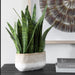 Uttermost - 60271 - Accent Plant - Sansera Snake - Beige And Tan