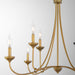 Quorum - 655-8-47 - Eight Light Chandelier - Livingston - Brushed Brass