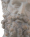 Currey and Company - 1200-1084 - Head on Metal Stand - Hercules - Antique Off-White / Black
