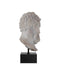 Currey and Company - 1200-1084 - Head on Metal Stand - Hercules - Antique Off-White / Black