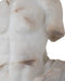 Currey and Company - 1200-1085 - Torso on Metal Stand - Delos - Antique Off-White / Black