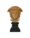 Currey and Company - 1200-1103 - Head on Metal Plinth - Hypnos - Light Coral / Black