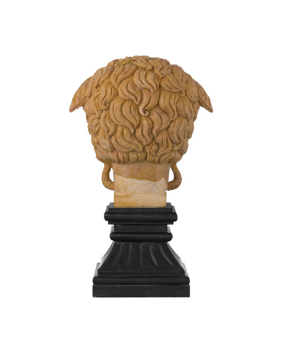 Currey and Company - 1200-1103 - Head on Metal Plinth - Hypnos - Light Coral / Black
