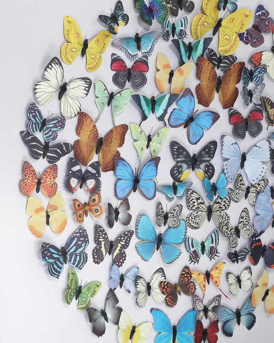 Currey and Company - 1200-1172 - Wall Art - Chroma - Multi-Color
