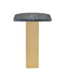 Currey and Company - 4000-0279 - Accent Table - Aldous - Black / Gold