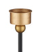 Currey and Company - 6700-0036 - One Light Table Lamp - Daphne - Black / Gold