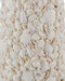 Currey and Company - 8000-0189 - One Light Floor Lamp - Turbinella - Sugar White / Natural
