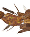 Currey and Company - 9000-1432 - 16 Light Chandelier - Weston - Magnolia Leaf