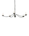 Currey and Company - 9000-1485 - Five Light Chandelier - Franz - Black