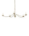 Currey and Company - 9000-1486 - Five Light Chandelier - Franz - Champagne