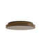Currey and Company - 9999-0089 - LED Flush Mount - Aydan - Natural / Brushed Brass