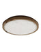 Currey and Company - 9999-0090 - LED Flush Mount - Aydan - Natural / Brushed Brass