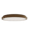 Currey and Company - 9999-0090 - LED Flush Mount - Aydan - Natural / Brushed Brass