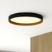 Vaxcel - C0383 - LED Flush Mount - Darien - Black and Gold
