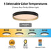 Vaxcel - C0383 - LED Flush Mount - Darien - Black and Gold