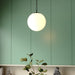 Vaxcel - P0455 - One Light Pendant - Linden - Matte Black