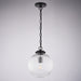 Vaxcel - P0456 - One Light Pendant - Linden - Matte Black
