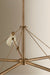 Troy Lighting - F4369-PBR/SSD - Five Light Chandelier - Andersen - Patina Brass