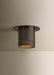 Troy Lighting - C1508-BRZ - One Light Flush Mount - Berg - Bronze