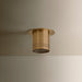 Troy Lighting - C1508-PBR - One Light Flush Mount - Berg - Patina Brass