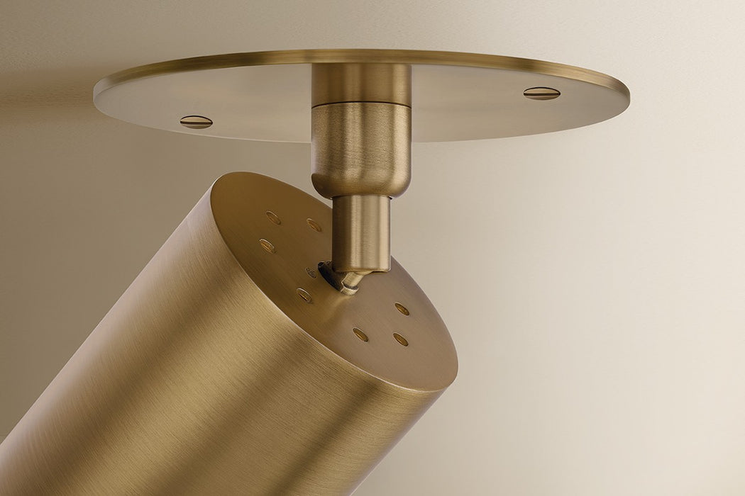 Troy Lighting - C1305-PBR - One Light Flush Mount - Caleb - Patina Brass