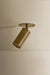 Troy Lighting - C1305-PBR - One Light Flush Mount - Caleb - Patina Brass