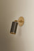 Troy Lighting - B1309-PBR/BRZ - One Light Wall Sconce - Caleb - Patina Brass