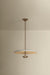 Troy Lighting - F2820-PBR/WTW - LED Pendant - Garth - Patina Brass