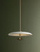 Troy Lighting - F2820-PBR/WTW - LED Pendant - Garth - Patina Brass