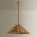 Troy Lighting - F4326-PBR - One Light Pendant - Richard - Patina Brass