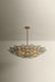 Troy Lighting - F5232-PBR - Eight Light Chandelier - Wassama - Patina Brass
