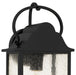 Quoizel - DAM8307MBK - One Light Outdoor Wall Lantern - Damian - Matte Black