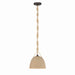 Minka-Lavery - 16065-860 - One Light Pendant - Cordón - Dark Bronze
