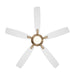Minka Aire - F1001-BBR/ALW - 60" Ceiling Fan - Dyno - Brushed Brass