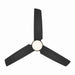 Minka Aire - F671L-BBR/CL - 48" Ceiling Fan - Pure - Brushed Brass