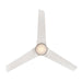 Minka Aire - F753L-LBR/ALW - 54" Ceiling Fan - Java - Legacy Brass