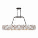 Metropolitan - N1526-860 - Four Light Linear Chandelier - Ravelin - Dark Bronze