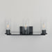 Maxim - 10463CDBK - Three Light Bath Vanity - Livingston - Black